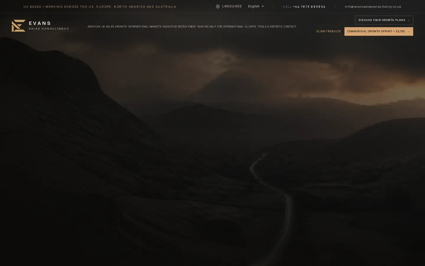 The Evans Sales Consultancy homepage showing its commercial proposition